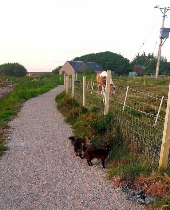 Isla'S Cottage Stornoway  Exterior photo